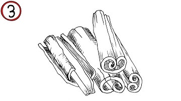 Getting Rid of Bothersome Silverfish Tips