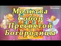 Молитва Собор Пресвятой Богородицы