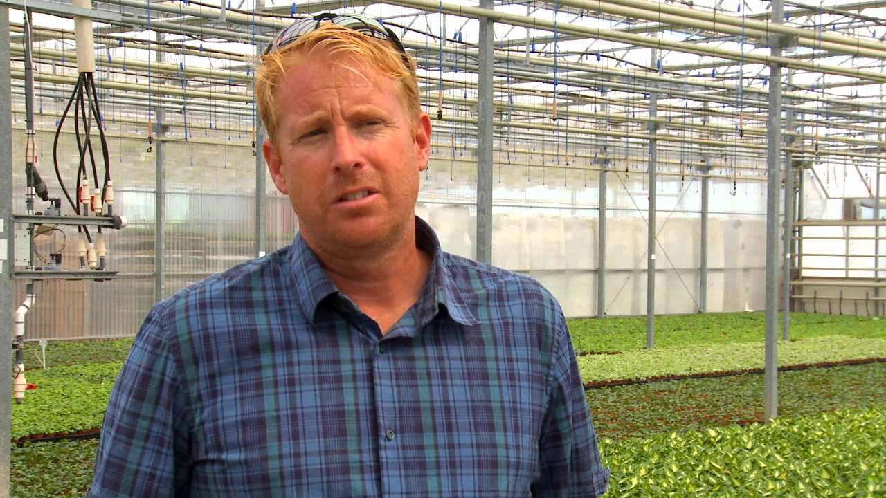 The Variety of Flowers Grown in Canada!