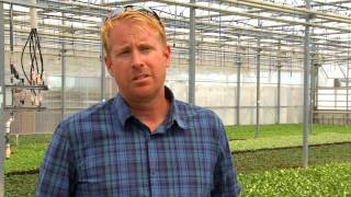 The Variety Of Flowers Grown In Canada