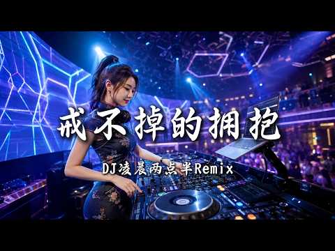 DJ凌晨两点半 - 戒不掉的拥抱 (女版)｜DJ Remix 动态歌词MV