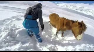 Экстремальное спасение лошади в горах