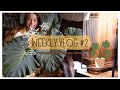 Weekly vlog 2  professionnelle vitrine rempotage papotage