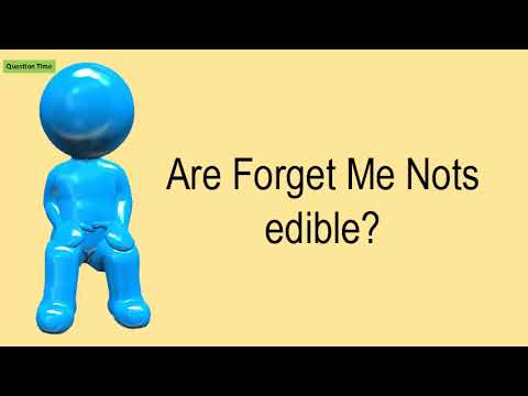 Are Forget Me Nots Edible?