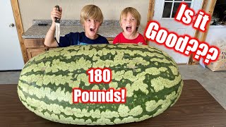 Cutting Open A GIANT Watermelon! (180 Pounds)