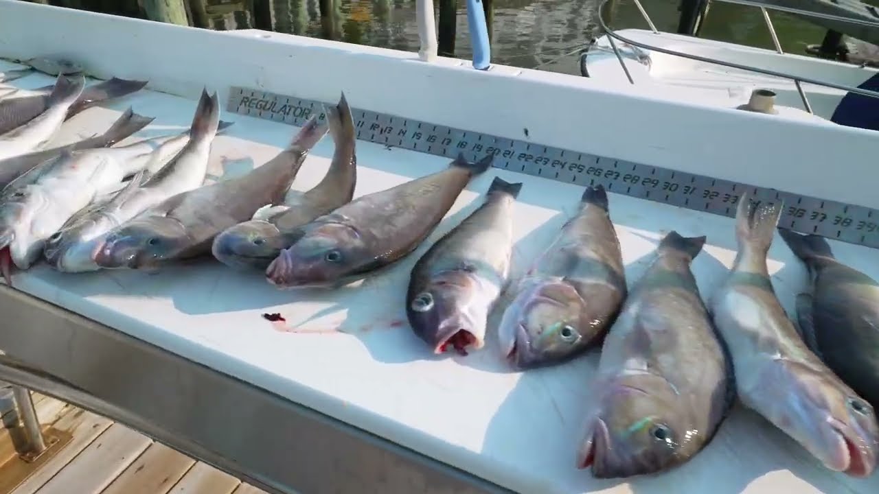 Center Console Sportfishing at its Best