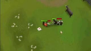 Runescape Strength Pure -- Basic Video
