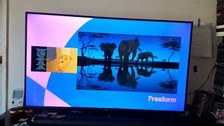 The Lion King 1994 Endstart To The Lion King Ii Simbas Pride 1998 On Freeform 71724