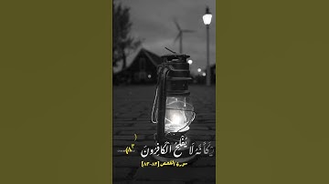 سورة القصص الآيات 82-83