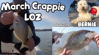 Crappie Fishing | Late Winter | Lake of the Ozarks