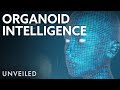 Biocomputing and the Future of Human-Machine Integration