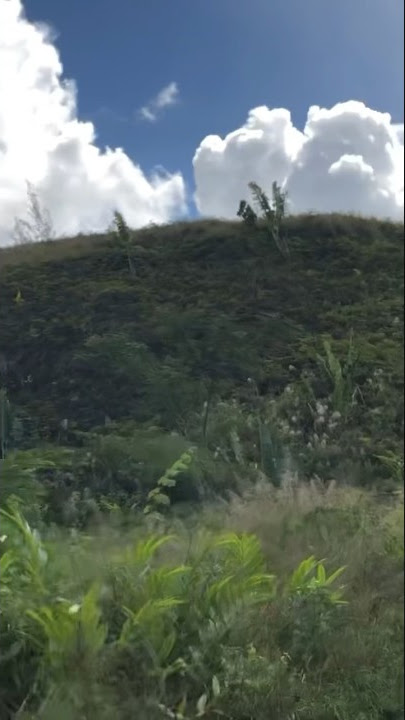 Exploring Madagasikara 🇲🇬Road | Home | Sky Jungle’s is amazing RN2 Between Toamasina Antananarivo
