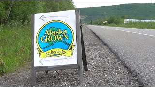 State Hopes Upcoming Agricultural Land Sale Near Nenana Will Bear Fruit Resimi