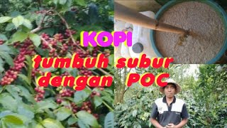 Download Lagu Cara pemupukan kopi yang benar dengan pupuk organik cair  POC MP3