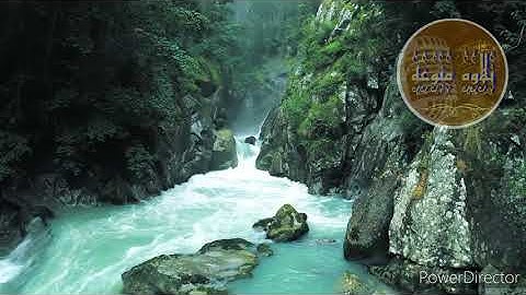 سورة الحشر للقارئ الشيخ الشحات أنور 🌱