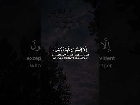 اكتب شيء تؤجر عليه الشيخ هارون سهام السديس