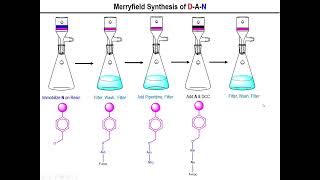 Lec11 - Synthesizing Peptides and the Merrifield Synthesis