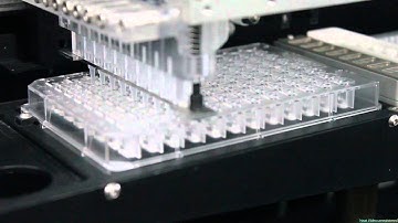 NT8 Sitting drop.mp4