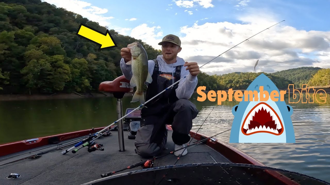 Bass fishing last the September.