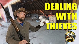 Dealing With Thieves