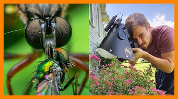 Insect Macro Photography | New Diffuser