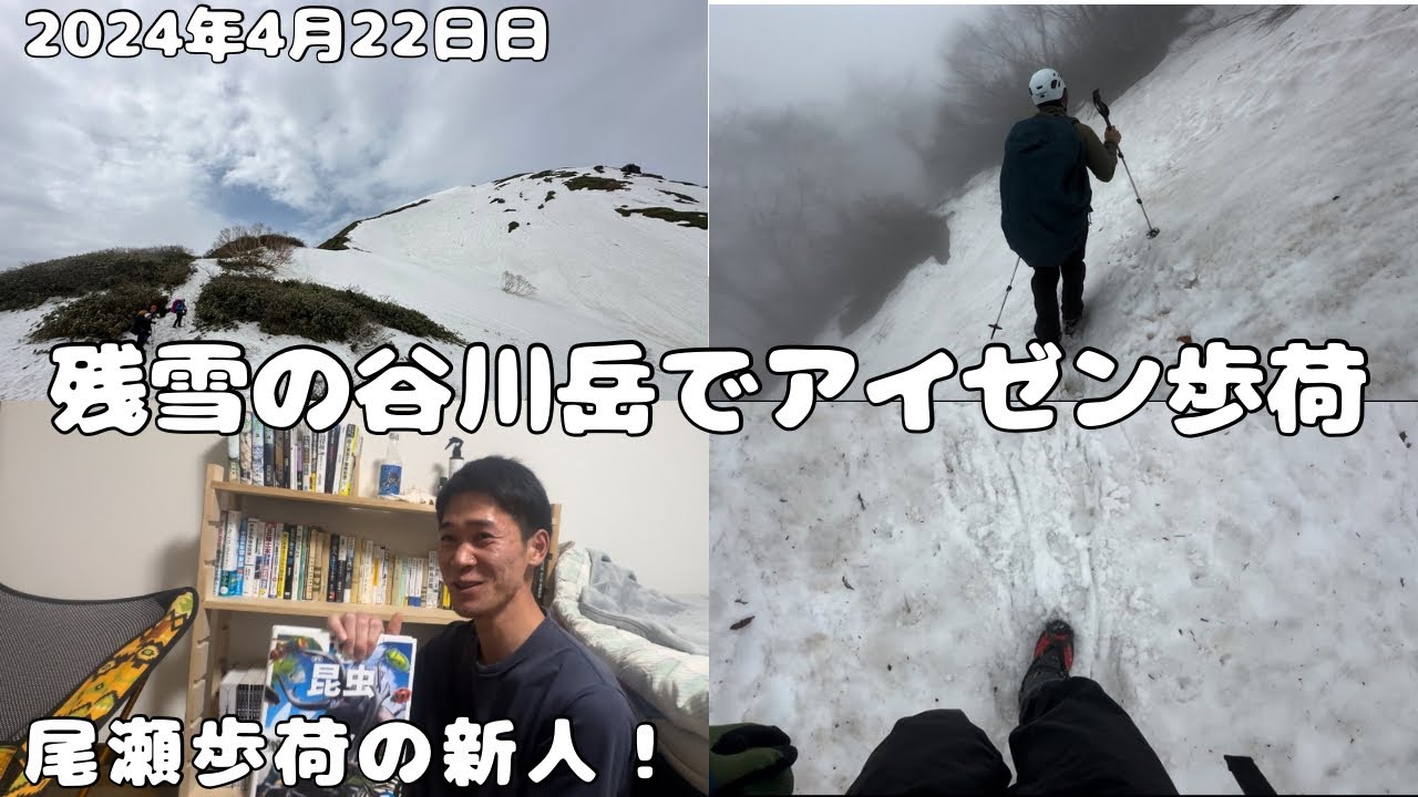 【谷川岳】残雪の谷川岳でアイゼン歩荷！尾瀬歩荷の新人紹介！