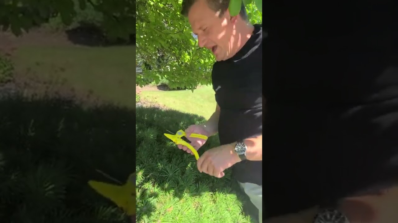 The Florian 701 Ratchet Cut Pruner - Your Lightweight Garden Sidekick.