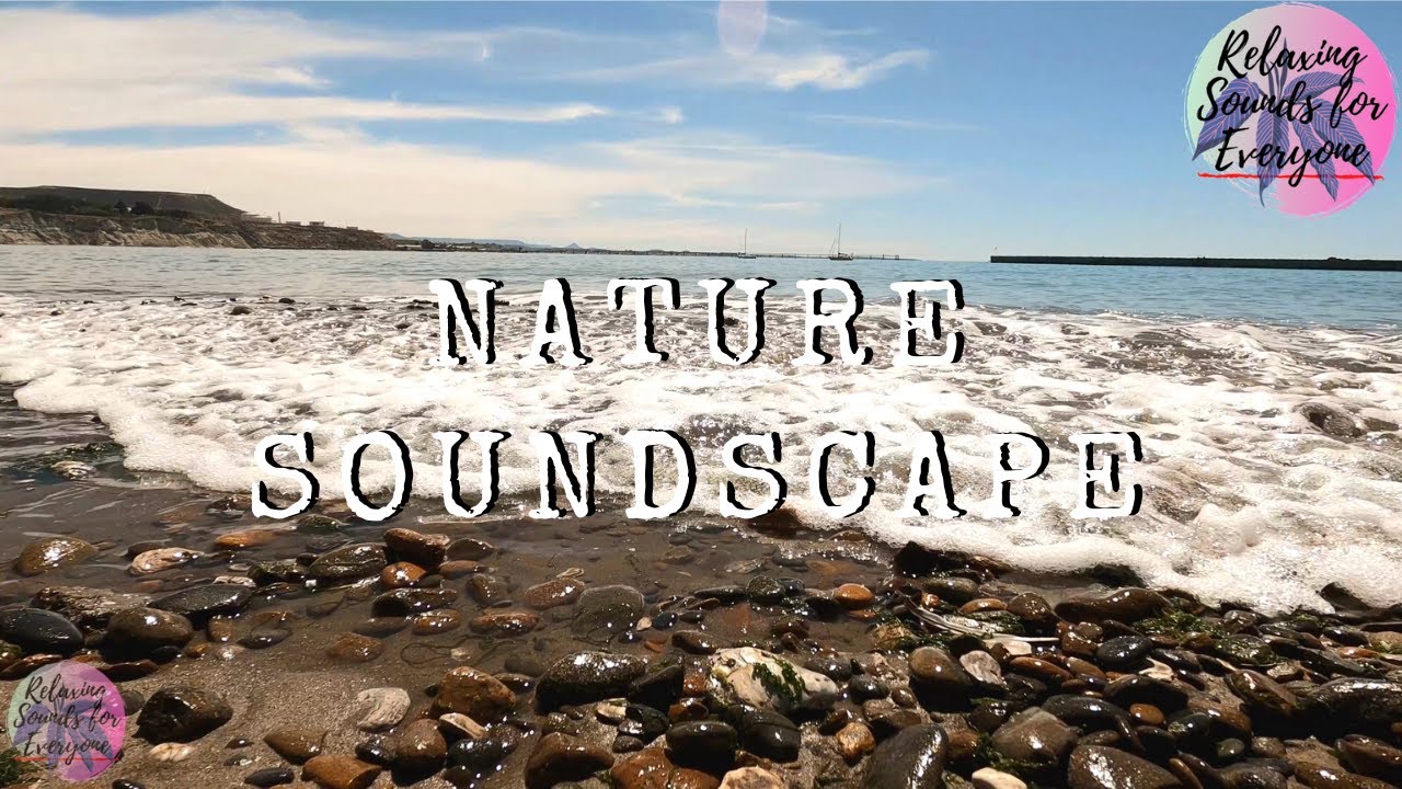 Nature Soundscape - Ocean Ambience for Sleep (Patagonia Argentina Chubut)