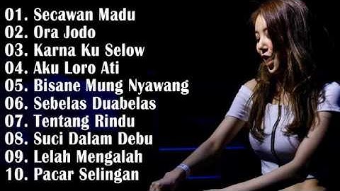 DJ NOFIN ASIA | SECAWAN MADU | BISANE MUNG NYAWANG | BAGAIKAN LANGIT DI SORE HARI | SUCI DALAM DEBU