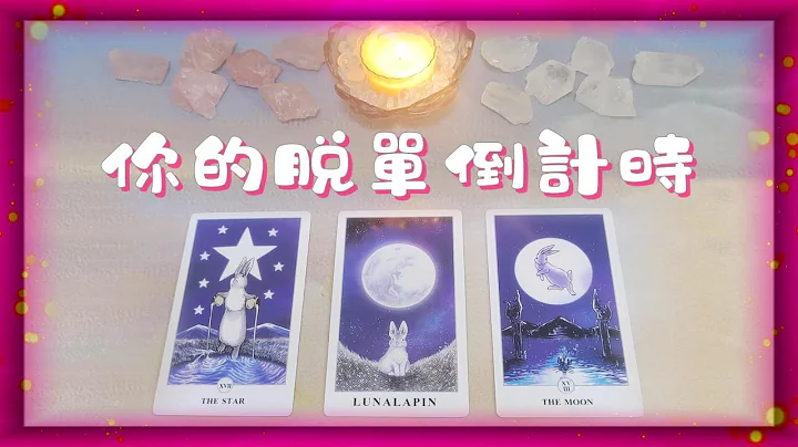 🔮你的脫單倒計時💐，誰會來結束你的單生生活㊙️？脫單的的時間|表白的場景|這場戀愛是如何進行的💐，有多麼浪漫？|塔羅占卜|單身|愛情|下一任|新戀情 - 天天要聞