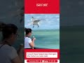 France’s Clever Seagull Goes Viral Again After Perfect Ice Cream Heist | The Daily CPEC