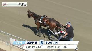 LOPP 6‎-INTERVJU-2026-07-23