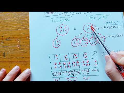 مراجعة شاملة ومعلومات هامة حول اعمال مورغان ٢ ثانية ثانوي