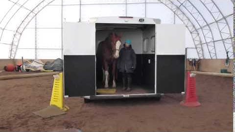 clicker training for comfort in a trailer
