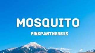 Pinkpantheress - Mosquito (Lyrics) | Lyrics video