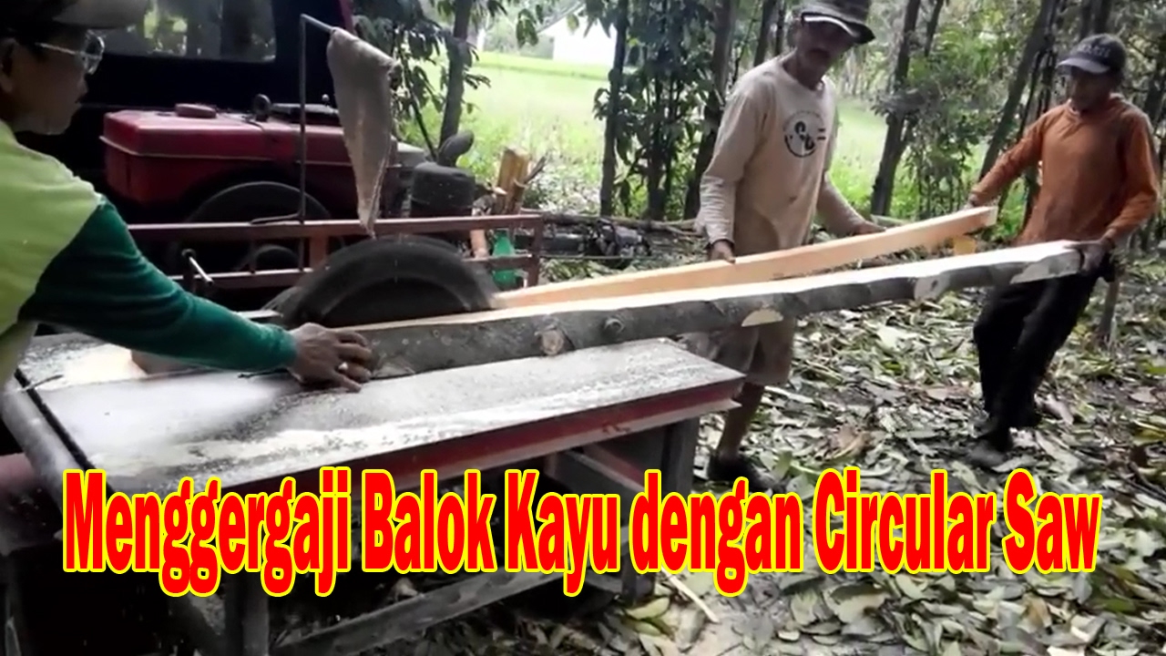 Menggergaji Balok Kayu  Menggunakan Circular Saw Large 