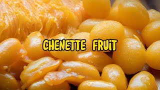 Chenette Fruit: Discovering the Tropical Delight of Genip in this Exotic Exploration