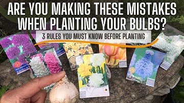 Bulb Planting - 3 Rules You Need To Know Before You Start - Beginners Guide