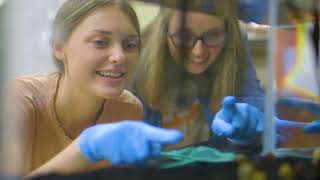 Can you see yourself at Findlay? | University of Findlay