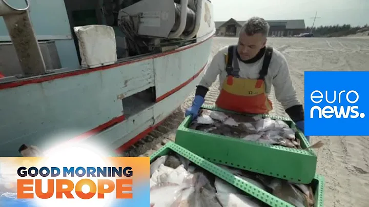 Small-scale Danish fishermen push back against industrial fishing