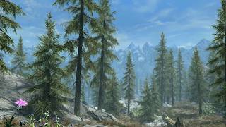 Skyrim 4K 60FPS - Harvest Path - No Commentary