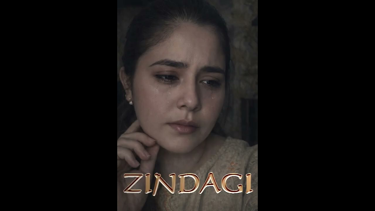 ZINDAGI MERI (MUSIC 1)