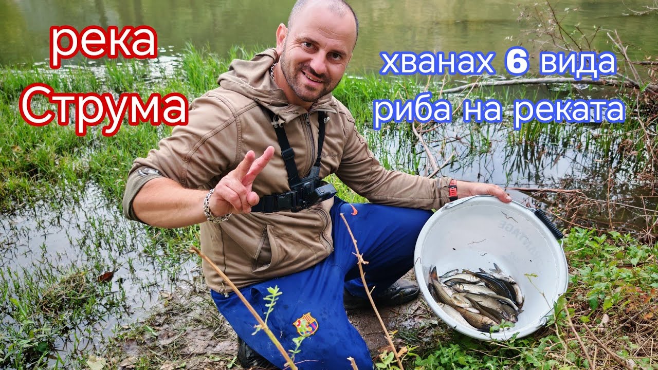 МОРУНАЖИ ,КЕФАЛИ и СКОБАРИ по РЕКА СТРУМА !РИБОЛОВ на БОЛОНЕЗЕ !