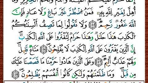 ختمة مصحف التجويد برواية قالون الصفحة رقم 280
