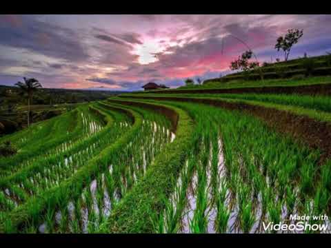 Instrumental piano elegi esok pagi Ebiet G. Ade