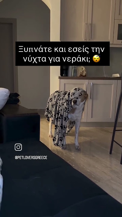 ΠΟΙΑ ΕΙΣΤΕ ΤΙ ΓΥΡΕΥΕΤΕ ΣΤΗΝ ΟΙΚΕΙΑ ΤΩΝ ΠΡΟΓΟΝΩΝ ΜΟΥ??