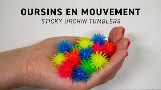 Oursins En Mouvement - Fdmt - Sticky Urchin Tumblers