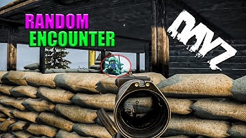 RANDOM ENCOUNTERS in DAYZ are the BEST #dayz #namalsk #dayzstandalone #dayzpvp #dayzbattleground