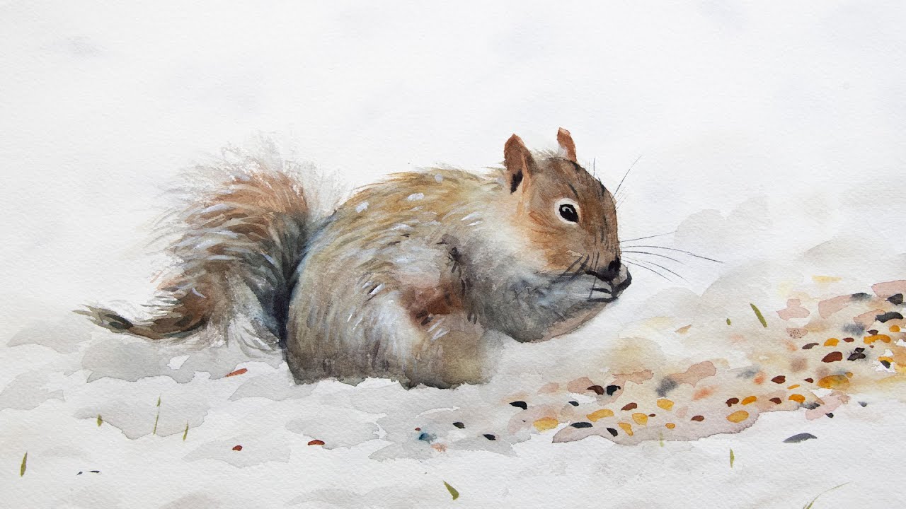 Акварельная картина белки — как нарисовать мягкую шерсть животного