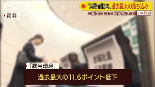新型コロナで消費者心理が大幅悪化　過去最大の↓(20/04/06)